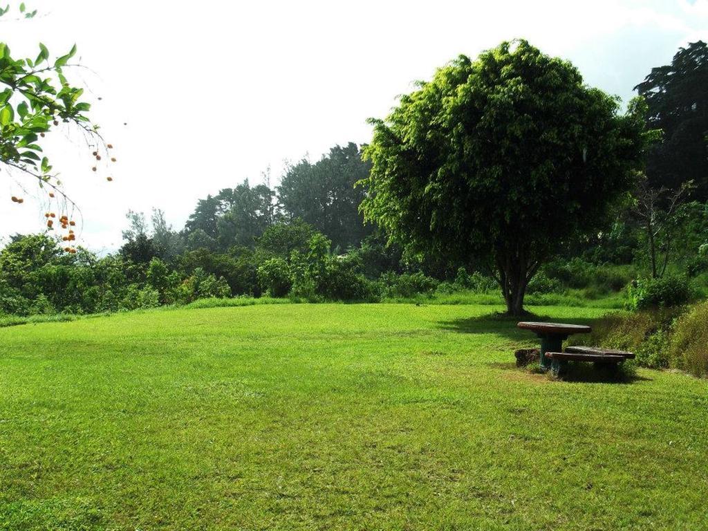 Hotel Las Fresas del Volcan Poas Sabana Redonda Exterior foto